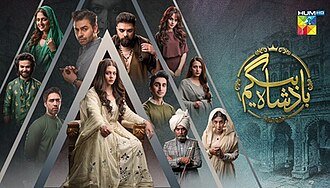 Badshah Begum poster