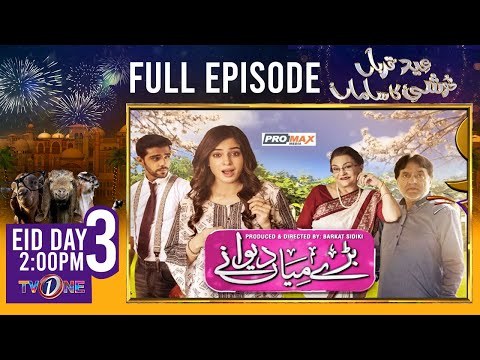 Barey Miyan Deewaney poster