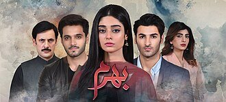 Bharam poster