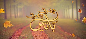 Choti Choti Batain poster