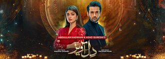 Dil Awaiz poster