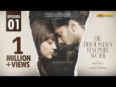 Dil Dhoondta Hai Phir Wohi poster