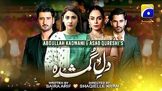 Dil-e-Gumshuda poster