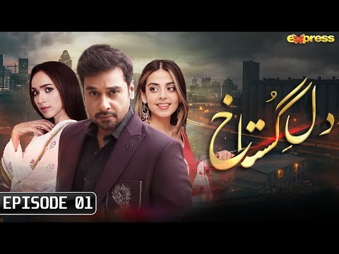Dil e Gustakh poster