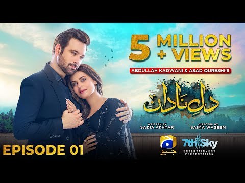 Dil-e-Nadan poster