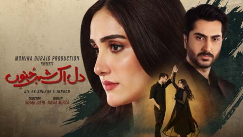 Dil Ik Shehr E Junoon poster