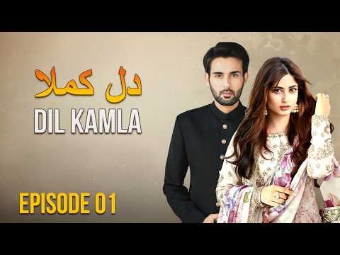 Dil Kamla poster
