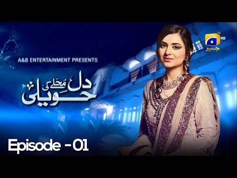 Dil Muhallay Ki Haveli poster