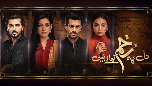 Dil Pe Zakham Khaye Hain poster