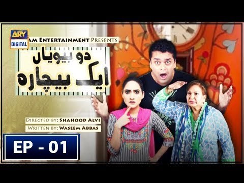 Do Biwiyan Ek Bechara poster