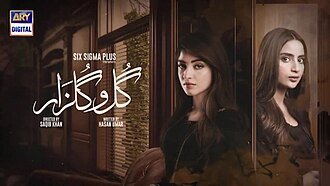 Gul-o-Gulzar poster