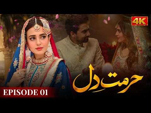 Hurmat E Dil poster