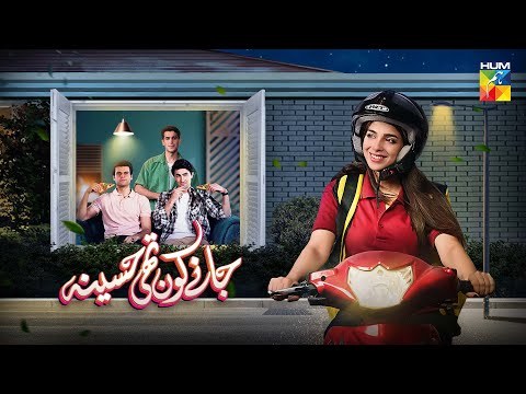 Janay Koun Thi Haseena poster