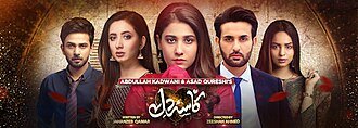 Kasa-e-Dil poster