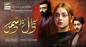 Mera Dil Mera Dushman poster