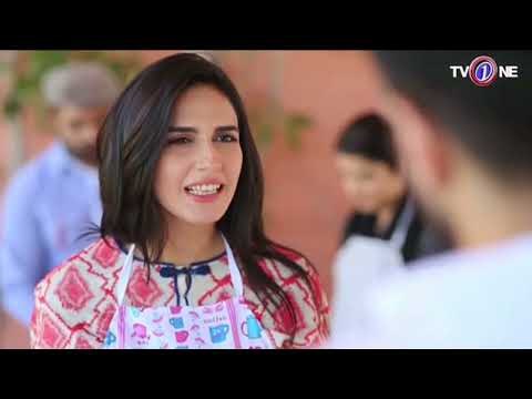 Meray Dil Meray Musafir poster