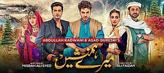Meray Humnasheen poster