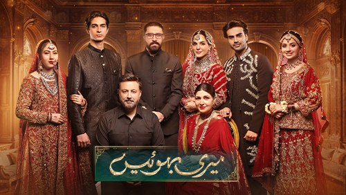 Meri Bahuain poster