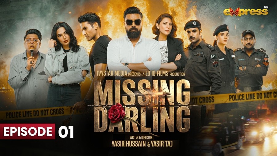 Missing Darling poster