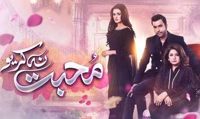 Mohabbat Na Kariyo poster