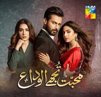 Mohabbat Tujhe Alvida poster