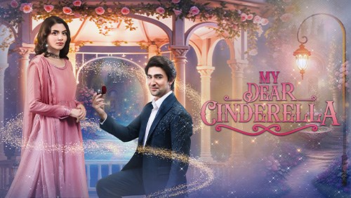 My Dear Cinderella poster