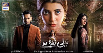 Neeli Zinda Hai poster