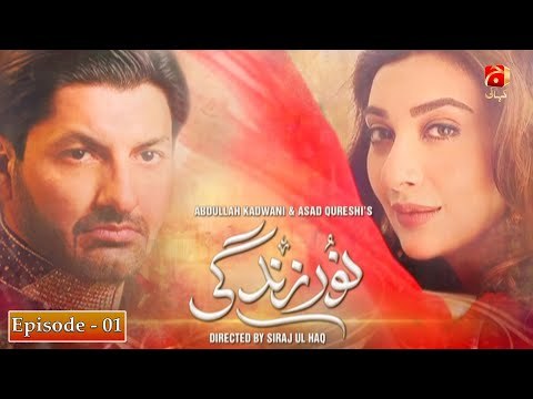 Noor e Zindagi poster