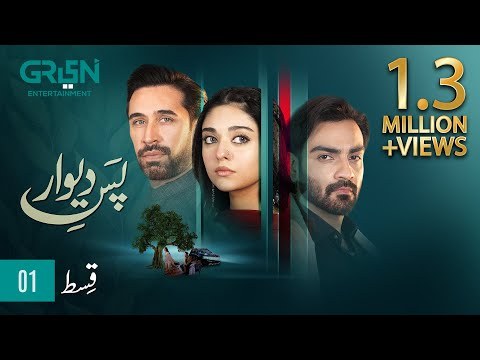 Pas E Deewar poster