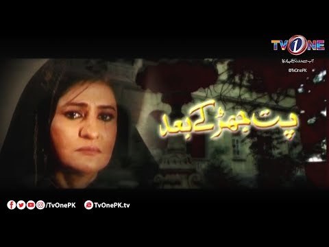 Pat Jhar K Baad poster