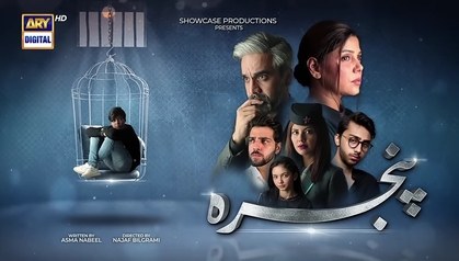 Pinjra poster