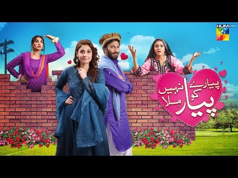 Pyare Ko Pyar Nahi Mila poster