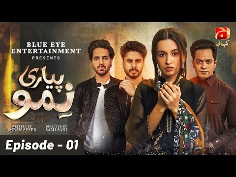Pyari Nimmo poster