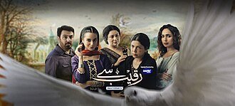 Raqeeb Se poster