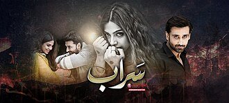 Saraab poster