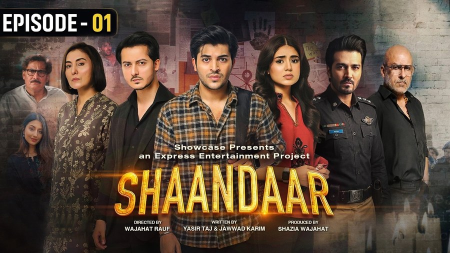 Shaandaar poster