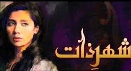 Shehr-e-Zaat poster