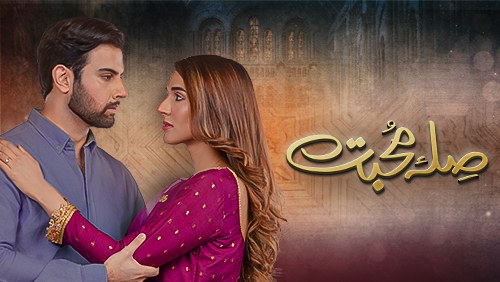 Sila-e-Mohabbat poster