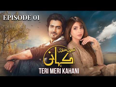 Teri Meri Kahani (LTN) poster