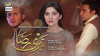 Teri Raza poster