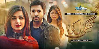 Tishnagi Dil Ki poster