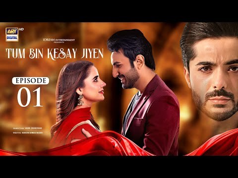 Tum Bin Kesay Jiyen poster