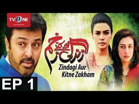Zindagi Aur Kitny Zakham poster